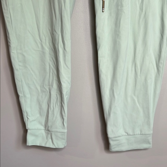 Jolyn Joggers Mint Green Womens Jogger Pants Large - Picture 3 of 7